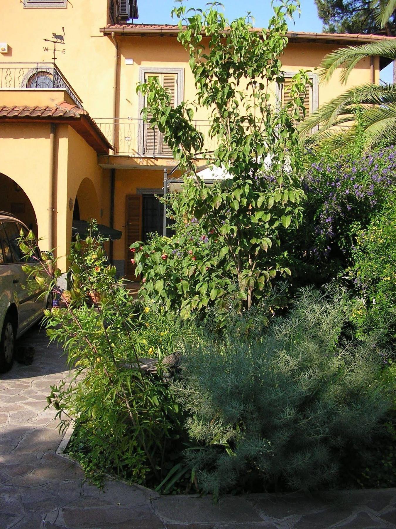 Bed and Breakfast Al Vecchio Olivo Фраскаті Екстер'єр фото
